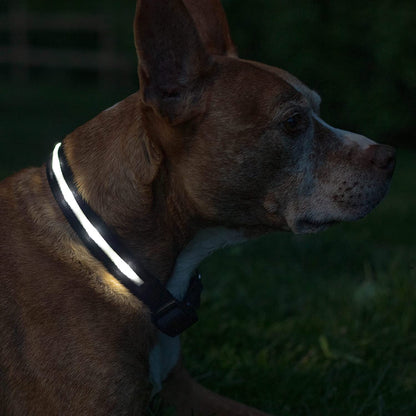 LED Dog Collar - Original USB Rechargeable, Waterproof Design with 1,000 Feet Visibility - Suitable for Small, Medium, and Large Dogs - Made in the USA