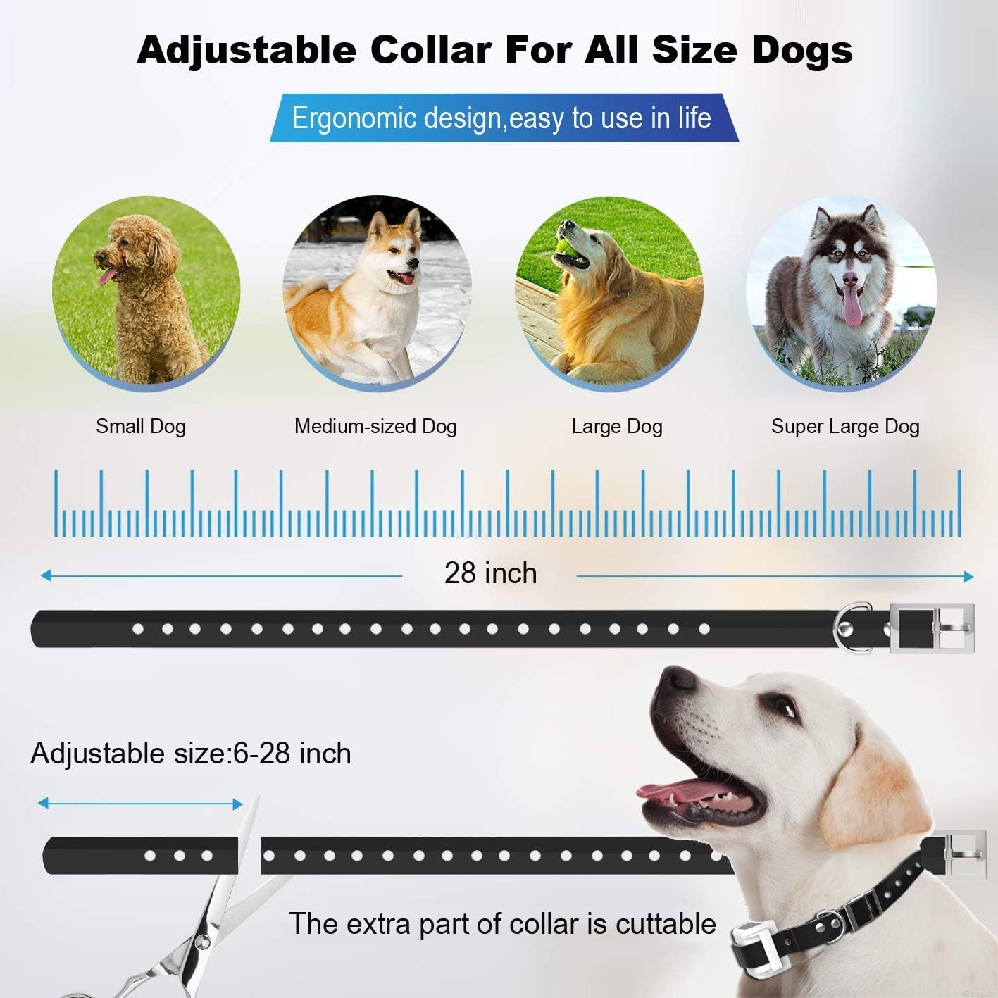 Advanced Wireless Dog Containment System with IP65 Waterproof Training Collar Receiver