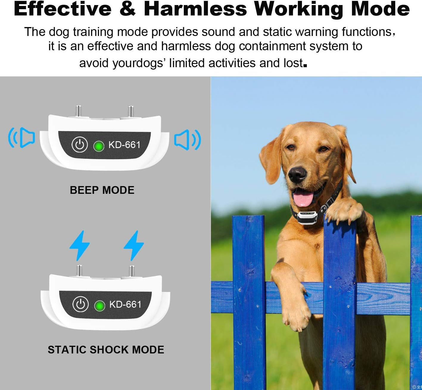 Advanced Wireless Dog Containment System with IP65 Waterproof Training Collar Receiver