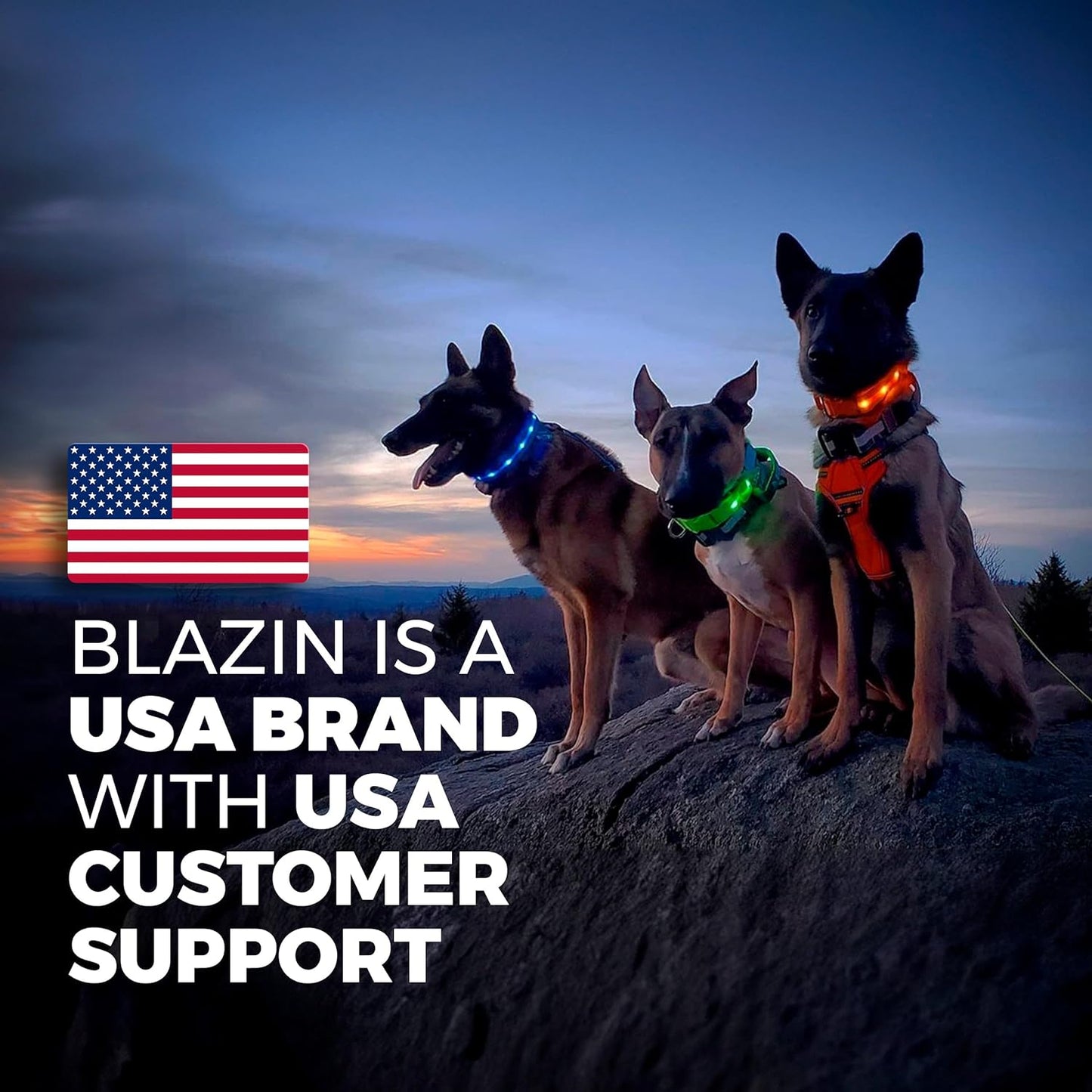LED Dog Collar - Original USB Rechargeable, Waterproof Design with 1,000 Feet Visibility - Suitable for Small, Medium, and Large Dogs - Made in the USA